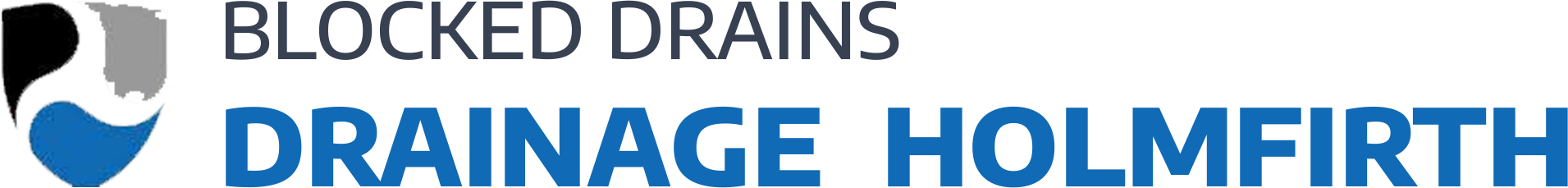 website logo